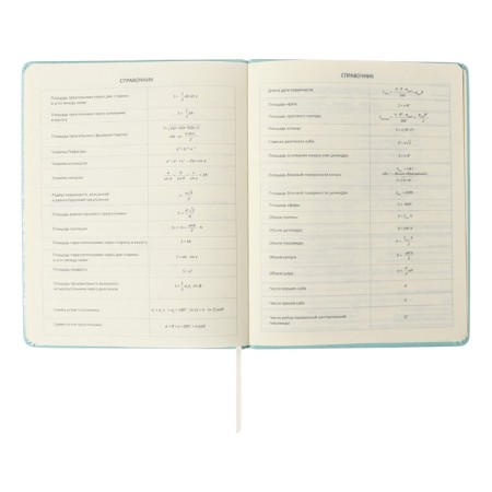 Universal diary for grade 1-11 Leaf, solid cover, artificial leather, foam, embossing foil, liesse, 80 g/m2-8