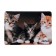 Mouse mat Perfeo Cat Fig. 6, 350x300x3 mm