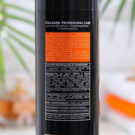 Shampoo-Hair Exception Professional Care “Vollagen, 500 ml-1