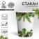 A single -paper cup "Happy New Year", spruce branches
