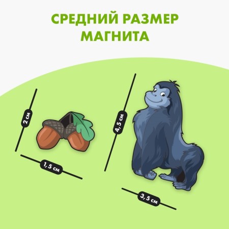 Developing magnets "Who eats what"-2