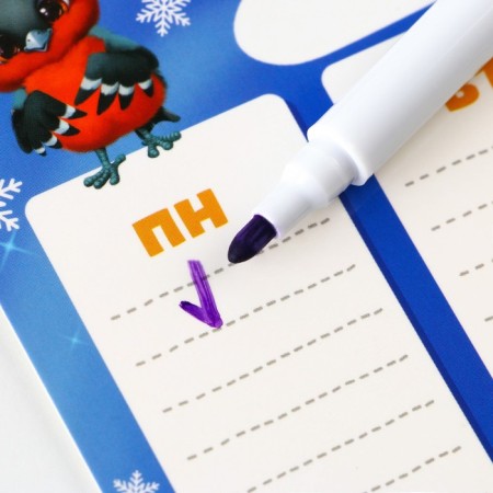 New Year. Magnetic planing A5 and erasing Mishutka marker-1