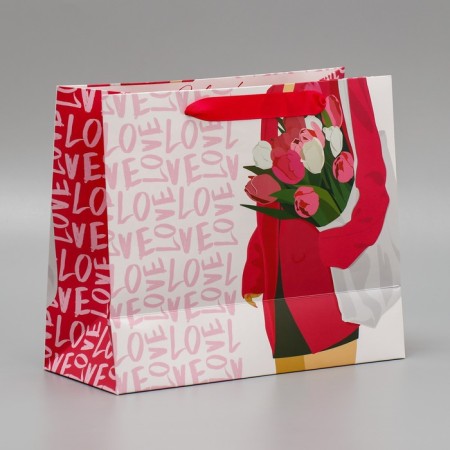 Package Gift Laminated Bilateral, Packaging, "Style", Ml 23 x 27 x 11.5 cm-2