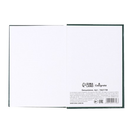 Dated diary of 2025, A5, 168 sheets, boumvinyl, dark green-8