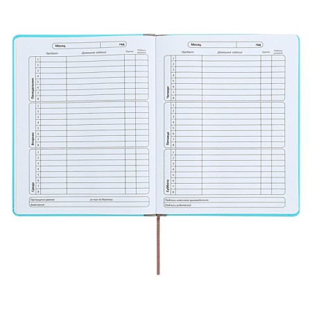 Universal diary for grades 1-11 Excellent, solid cover of artificial leather, silkography, lies, 48 ​​sheets, blue-6