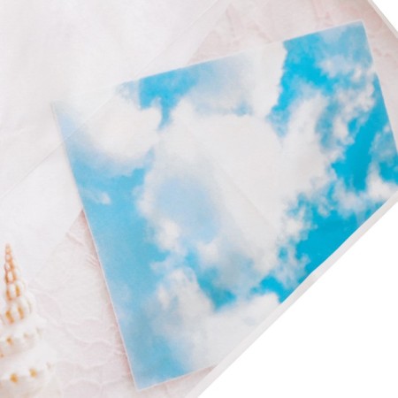 Photophone Vinyl "White Leaf and Sea Jewelry" 80x125 cm-1