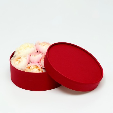 Box - tube 2 in 1, low with a dull cover "wine", 21 x 7 - 18 x 6 cm-2