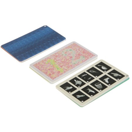 Developing cards "Training vision", 50 bilateral cards-1