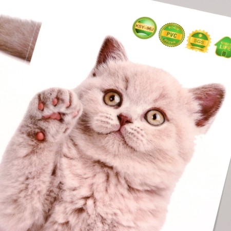 Stick 3D interior cat 29*21cm-2