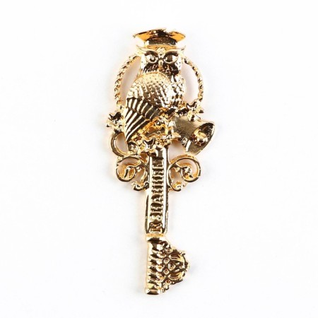 The souvenir key for the graduation "Key to Knowledge", metal, 2 x 4.8 cm-2