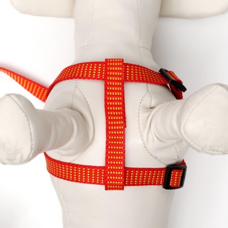 Acunition set is embossed, leash 120 x 1.5 cm, OG 36-49 cm, red-yellow-7