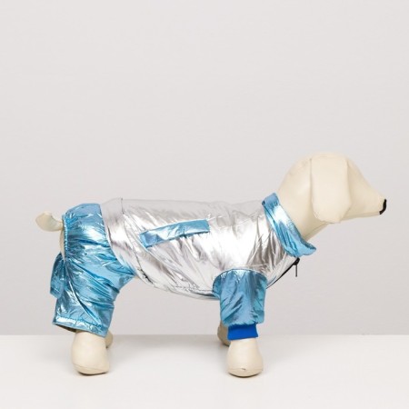 Kombinson "Shine", size 14 (DS 32 cm, OG 42 cm, Osh 31 cm), silver-blue-1