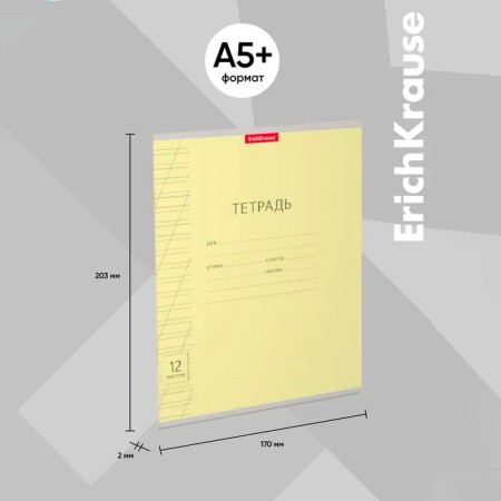 Notebook 12 sheets in the slanting ruler, Erichkrause Visio "Classic", cover coated cardboard, offset block, yellow-12