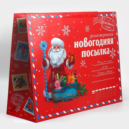 Laminated horizontal “NG Parcon”, XXL 46 x 61 x 20 cm, New Year-1