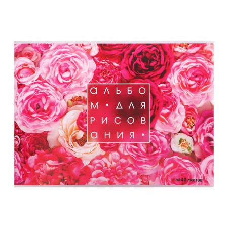 Album for drawing A4, 40 sheets on the "Rose" paper clip, covered cardboard, block 100 g/m²
