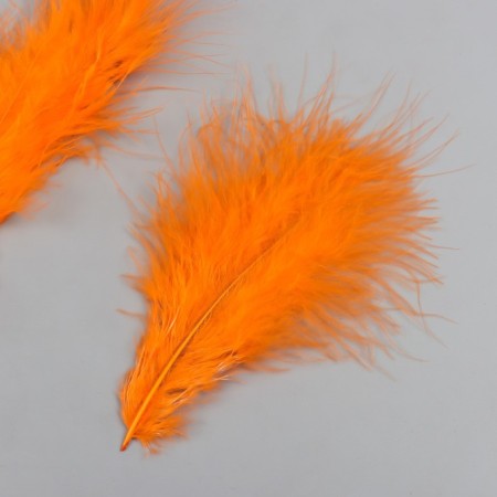 A set of decorative feathers "needlework", 20 pcs (orange), pen length 13-16 cm-1