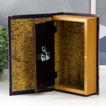 Safe box "Examiner" 21x13x5 cm-2