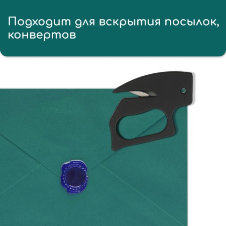 Greengo garden plant-3