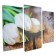 Watch Wall Modular "White Tulips", 60 × 80 cm