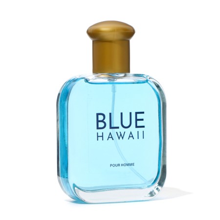 Perfume water men's Men’s Voyage Blue Hawaii, 100 ml (based on Blue Seduction (A.Bandras)-1