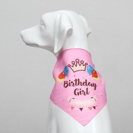 Animal scarf "Happy birthday", 15 x 12 x 1 cm, pink-3