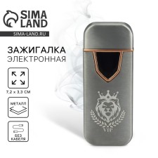 Electronic lighter 