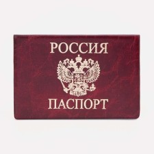 Cover for passport, red color