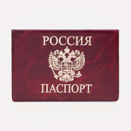 Cover for passport, red color