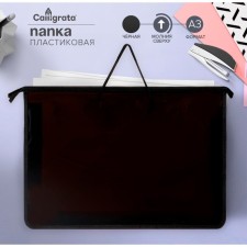 Folder for drawings and drawings A3, 470 x 335 x 55 mm, handles, plastic, lightning from above, 
