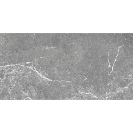 Founding tile Capella GT Gray, GT99VG 50x25-1