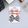 Hair set "Esther" (2 elastic bands, 1 clamp 4 cm) letters shine, mix