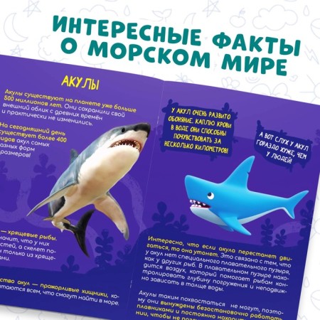 Mini-encyclopedia "Sea World", 20 pages, 12 × 17 cm, mi-mi-Mimka-2
