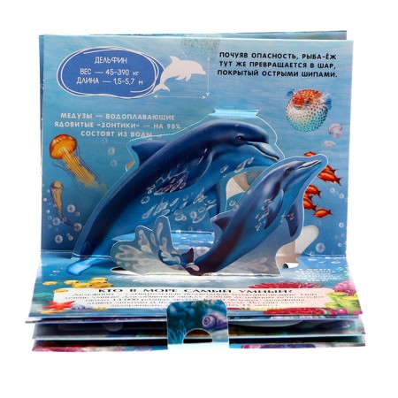 Set "Pocket Pop-up Encyclopedia", set No. 2-7
