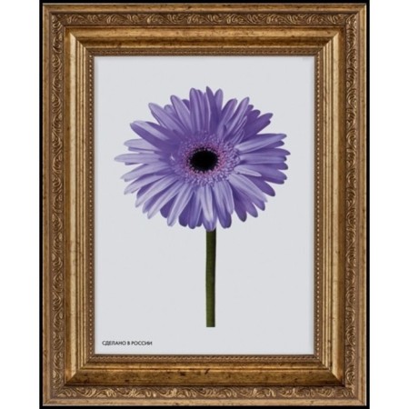 Frame for paintings (mirrors) 30 x 40 x 3.3 cm, plastic, dorothy, gold-2