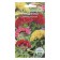 Flowers Seeds of annual "Mixture of colors", crested, stunted, 0.1 g