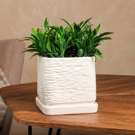 Flower pot "Square", white, ceramics, 1.5 l, 1 variety, Iran