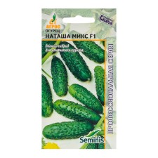 Seeds of cucumber 