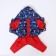 Zimovye jumpsuit for animals "Skier", S (DS 20-22, Osh 24-26, OG 32-34 cm), Mix