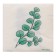 Napkins single -layer "eco" eucalyptus 24x24 cm, set of 20 pcs.