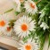 Bouquet "Erigeron" 32 cm, mix