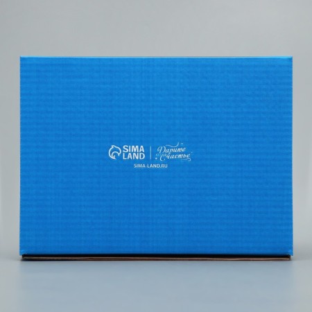 Box the national team "Snow City", White, 27 x 21 x 9 cm, New Year-4