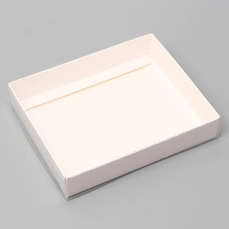 Box a team with a transparent lid 16 x 13 x 3 cm, white-2