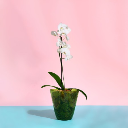Pot for orchids, 2.5 l, 16.4 × 18.5 cm, plastic, transparent green-2