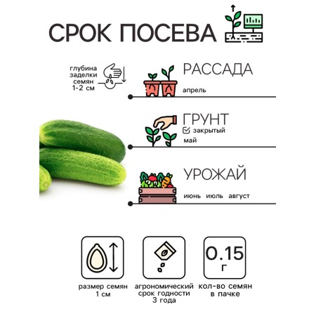 Семена Огурец "Зозуля", 0,15 г-1