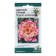 Flowers adenium Oblate "Marmaladnitsa", 3 pcs