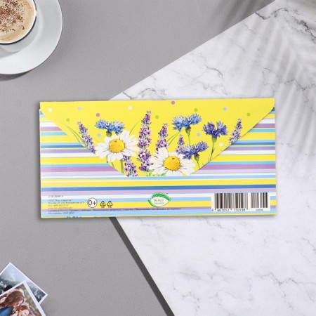 The envelope for the money "wonderful mood!" Glitter, Congrev, 17x8 cm-2