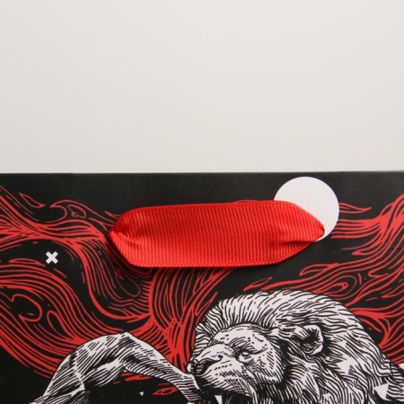 Gift laminated vertical, packaging, “Hercules”, MS 18 x 23 x 10 cm-3