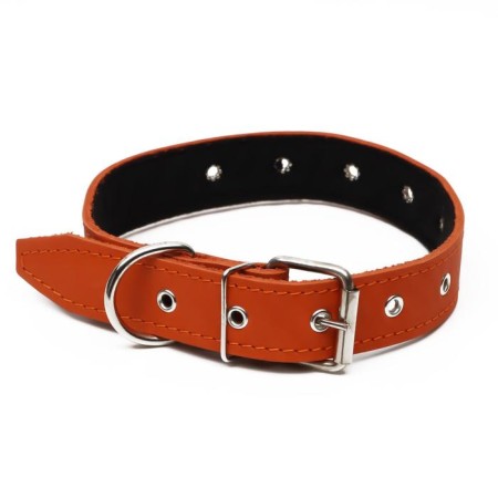 Leather collar on synthetic winterizer, dimensionless, 71 x 3.5 cm, Osh 29-62 cm, orange-1