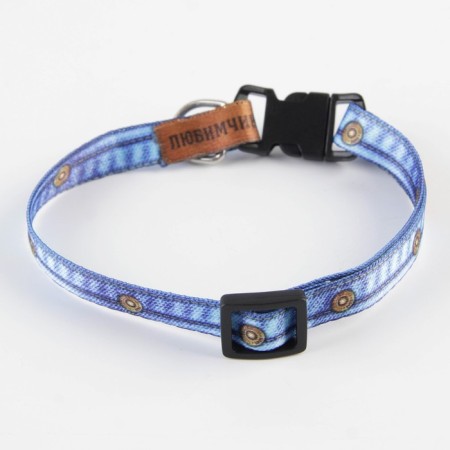 A collar for dogs and cats with Fasteks "Favorite", 30x1 cm-2