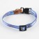 A collar for dogs and cats with Fasteks "Favorite", 30x1 cm